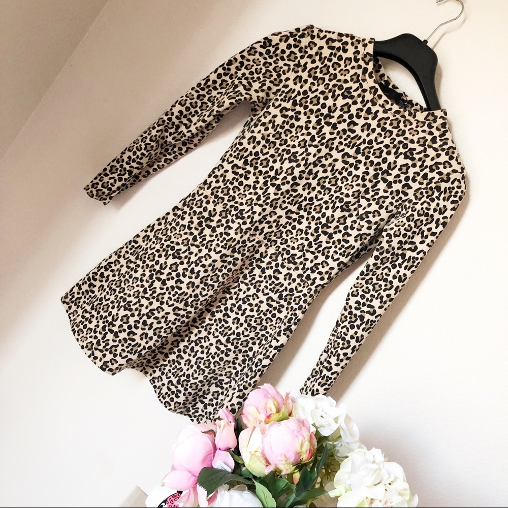 Zara Leopard Dress